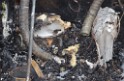 Wohnmobil ausgebrannt Koeln Porz Linder Mauspfad P141